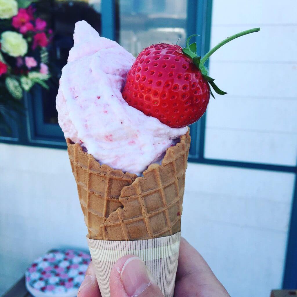 『そのべ農園』柏で人気のいちご狩りとピンクのソフトクリーム