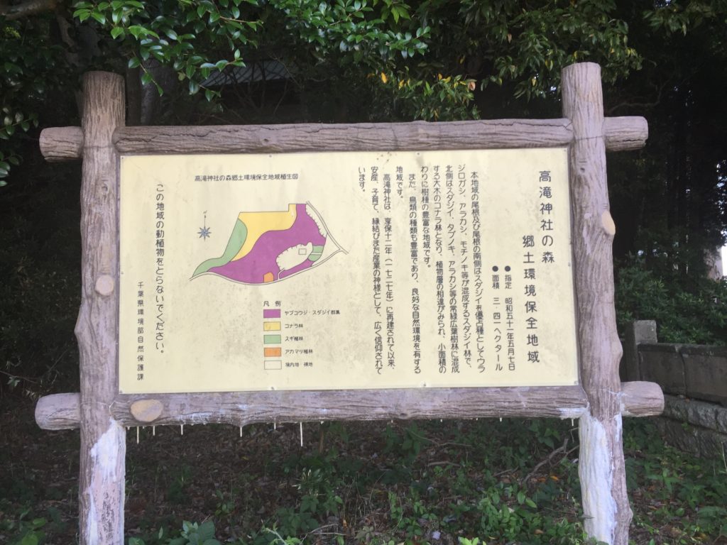高滝神社の森