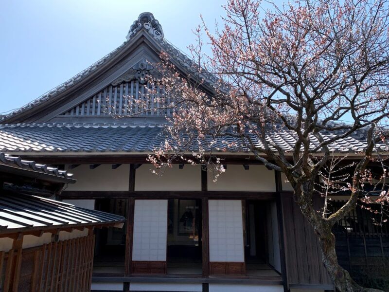 『弘道館』梅も見事な水戸駅近くの観光スポット